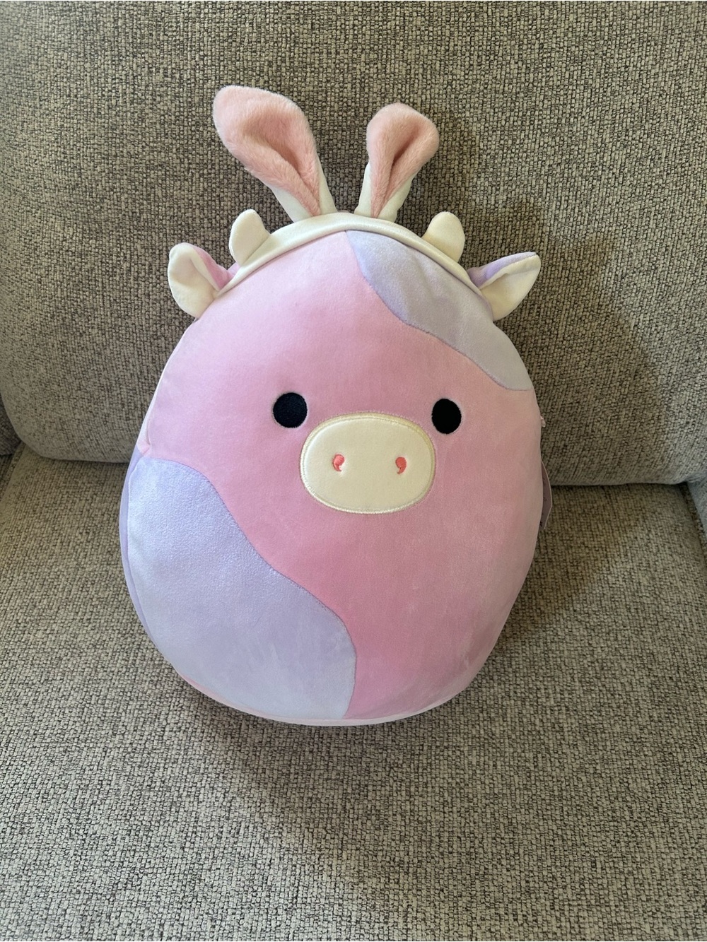 NWT Patty the Cow Squishmallow - 12 Inches